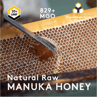 New Zealand beekeeper at hives by a lake, source of UMF 20+ MGO 829+ Manuka honey