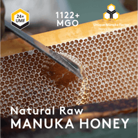 Knife uncapping honeycomb in a hive, raw source of UMF 24+ MGO 1122+ Manuka honey